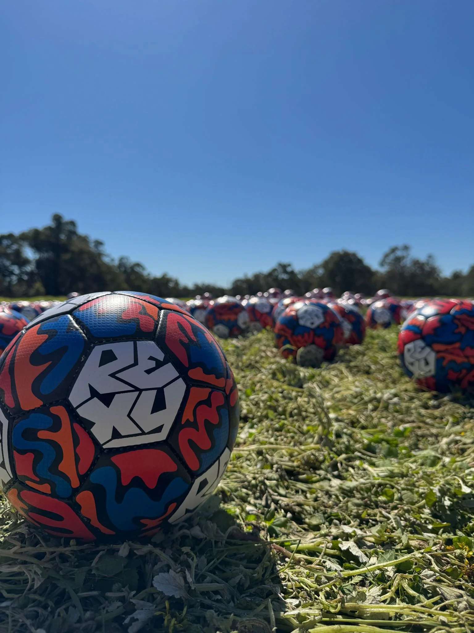 Custom Rexy Soccerball - Image 8